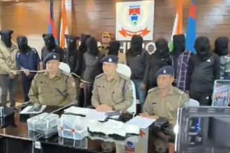 Stabbing and Weapon Brandishing cases