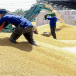 Farmers Relief India