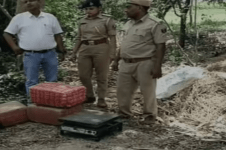 east-champaran-ganja-seizure