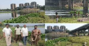 Fish Death Jamshedpur