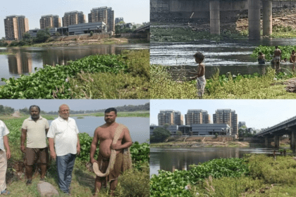Fish Death Jamshedpur