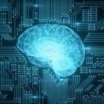 Human Neurons Computing