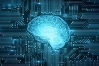 Human Neurons Computing