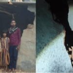 gumla-bharno-wild-elephant-terror