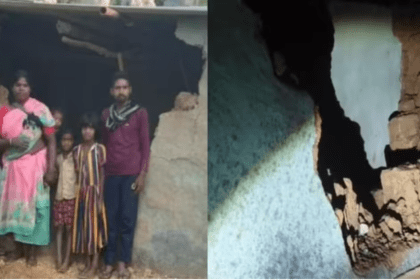 gumla-bharno-wild-elephant-terror