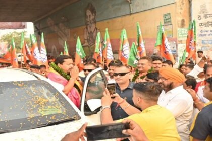 BJP, Nitin Naveen
