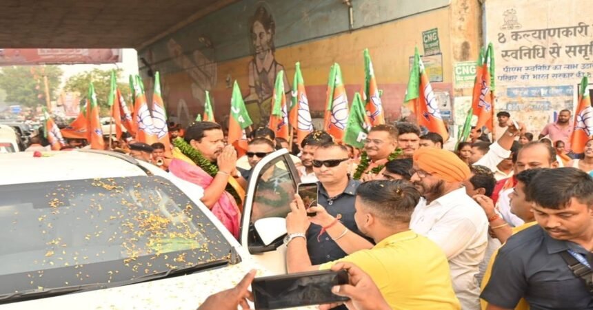 BJP, Nitin Naveen