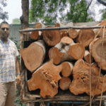 Jamtara, Forest Department, Timber Smuggling