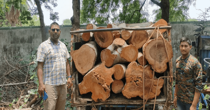 Jamtara, Forest Department, Timber Smuggling