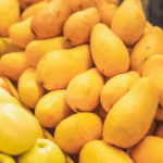 Mango Export, Nepal Mango Import Rules