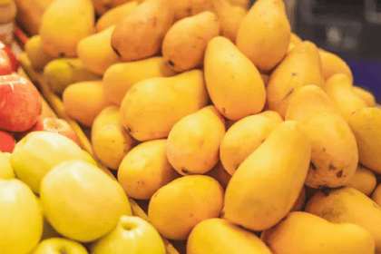 Mango Export, Nepal Mango Import Rules