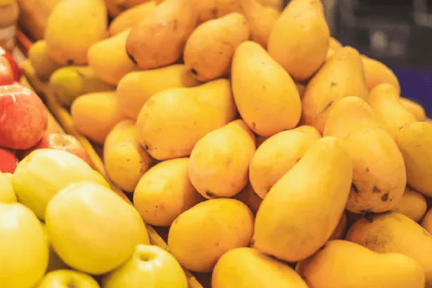 Mango Export, Nepal Mango Import Rules