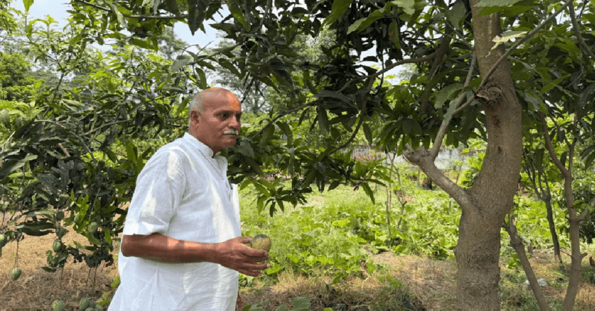 Mango Man Ram Kishore Singh