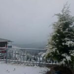 Mussoorie Cozy Cottage