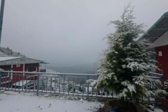 Mussoorie Cozy Cottage