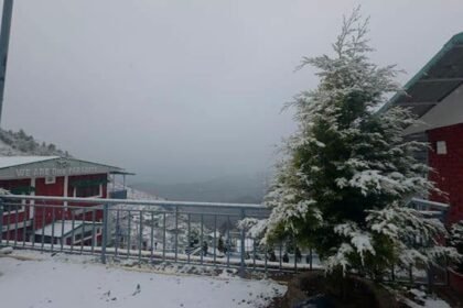 Mussoorie Cozy Cottage