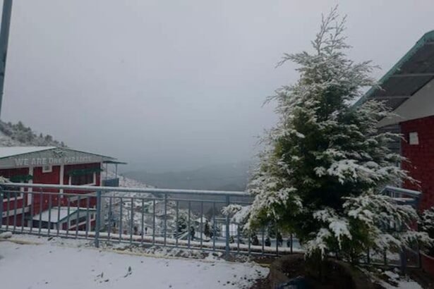 Mussoorie Cozy Cottage