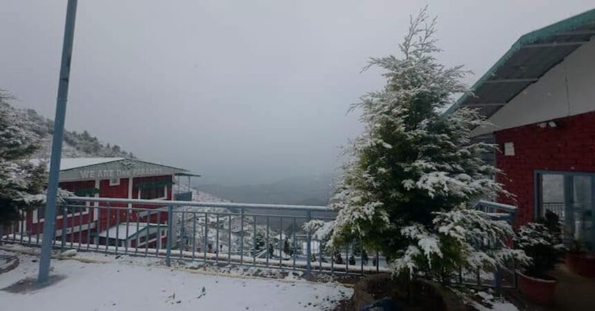 Mussoorie Cozy Cottage