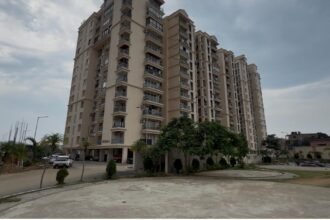 Oak Elegance