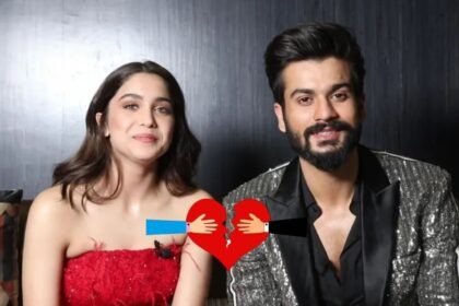 Sunny Kaushal Sharvari Wagh breakup