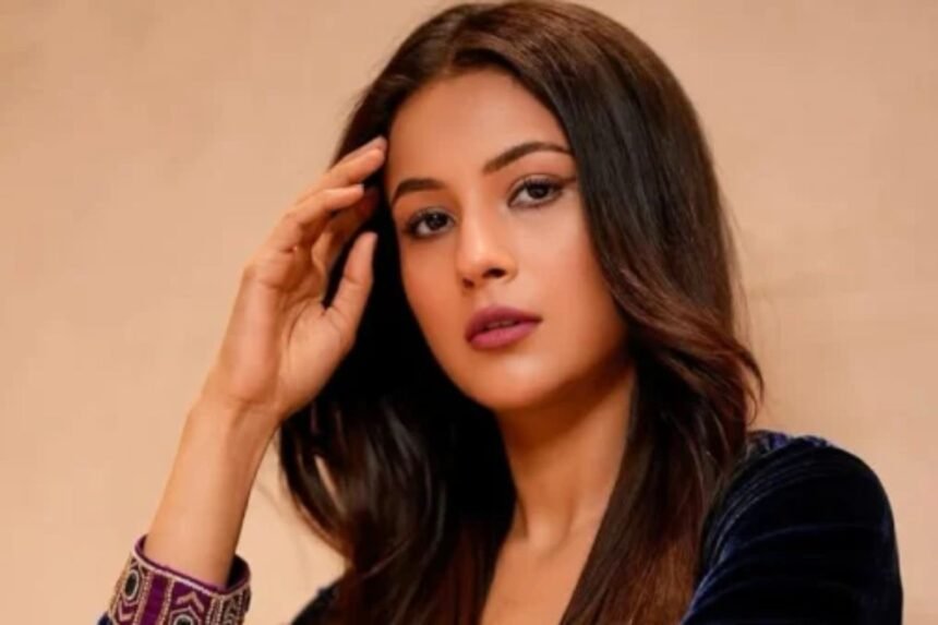 shehnaaz gill