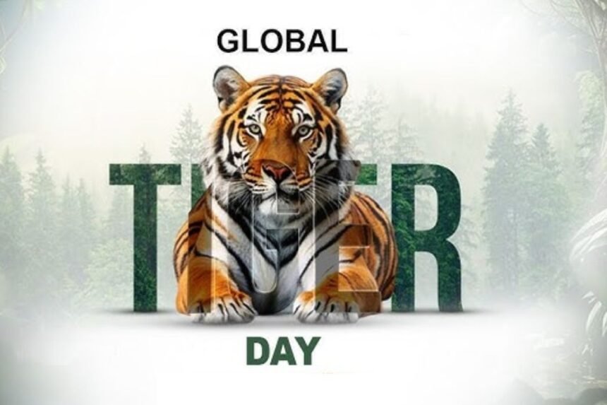 International Tiger Day 2026