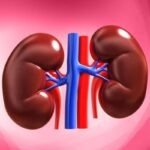 Kidney Health Tips