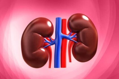 Kidney Health Tips