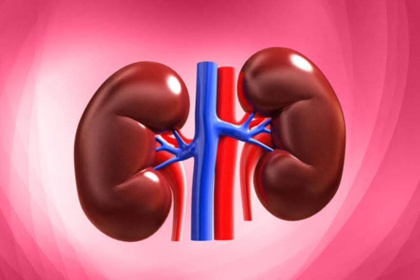 Kidney Health Tips