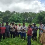 Mahua Dand News