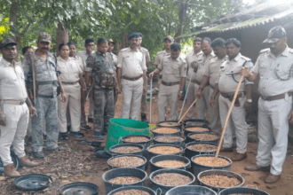 Major crackdown ahead of Jagannathpur Fair 525 kg of Jawa Mahua destroyed on the spot
