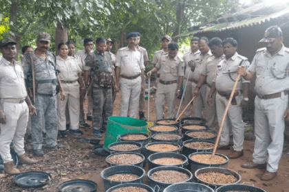 Major crackdown ahead of Jagannathpur Fair 525 kg of Jawa Mahua destroyed on the spot