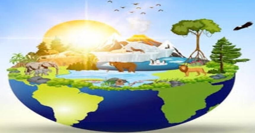 World Nature Conservation Day