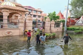Delhi Government, Delhi News, Waterlogging, Delhi Waterlogging
