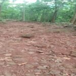 Netarhat News, Netarhat Tourism, Sirsi Netarhat Road
