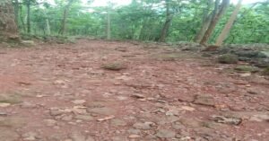 Netarhat News, Netarhat Tourism, Sirsi Netarhat Road