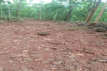 Netarhat News, Netarhat Tourism, Sirsi Netarhat Road