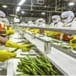 Odisha, Mohan Charan Majhi, Food Processing, Investment