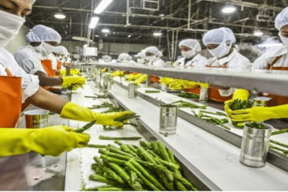 Odisha, Mohan Charan Majhi, Food Processing, Investment