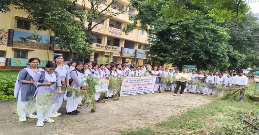 Parthenium Awareness Week, Parthenium Weed, Divyayan Krishi Vigyan Kendra
