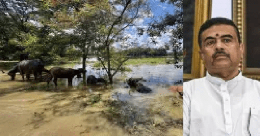 West Bengal, Assam Flood, Flood Relief, 10 Crore Assistance
