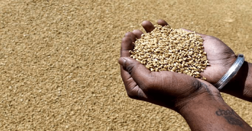 Wheat Export, India Wheat Export