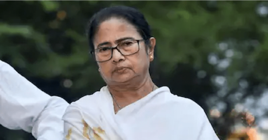 mamta