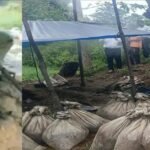 Chaibasa News, West Singhbhum, Excise Department Jharkhand, Karaikela Police Station, Illegal Liquor Seizure, Mahua Liquor Raid, Crime News Jharkhand