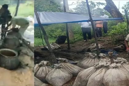 Chaibasa News, West Singhbhum, Excise Department Jharkhand, Karaikela Police Station, Illegal Liquor Seizure, Mahua Liquor Raid, Crime News Jharkhand