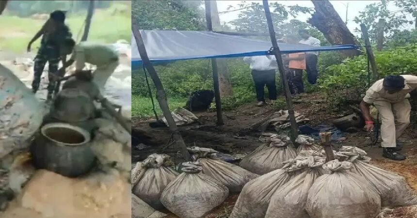 Chaibasa News, West Singhbhum, Excise Department Jharkhand, Karaikela Police Station, Illegal Liquor Seizure, Mahua Liquor Raid, Crime News Jharkhand