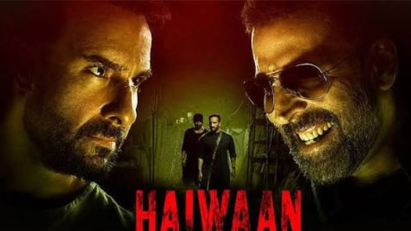 Haiwaan Box Office