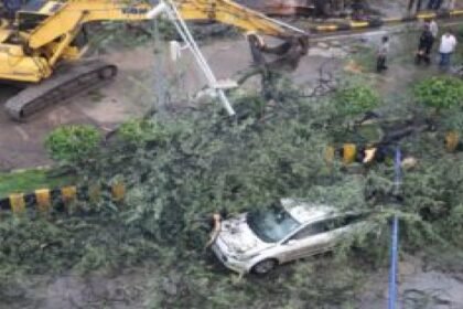 Indore news, Madhya Pradesh news, heavy rain, tree fall accident