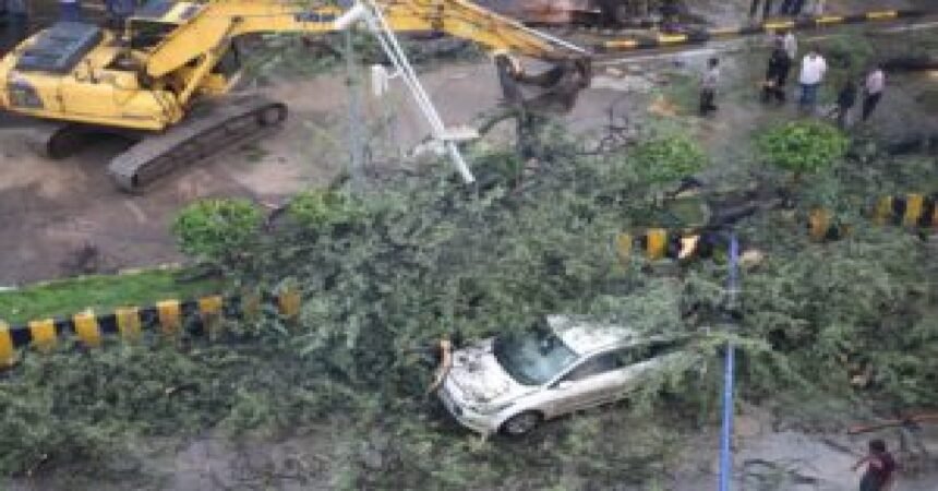 Indore news, Madhya Pradesh news, heavy rain, tree fall accident