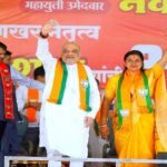 Manish Brahmbhatt, Kojpa Democratic, Cockroach